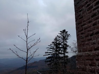 trailrunning-trier-39