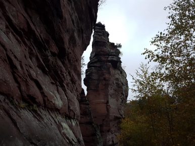 trailrunning-trier-51