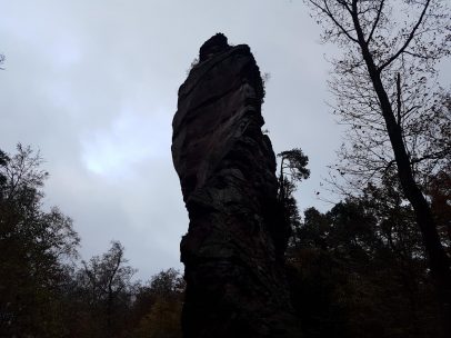 trailrunning-trier-52