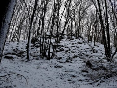 Trailrunning - Trier (6)