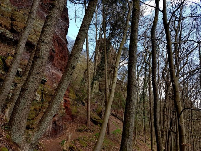 Trailrunning - Trier (7)