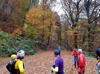 trailrunning-trier-7