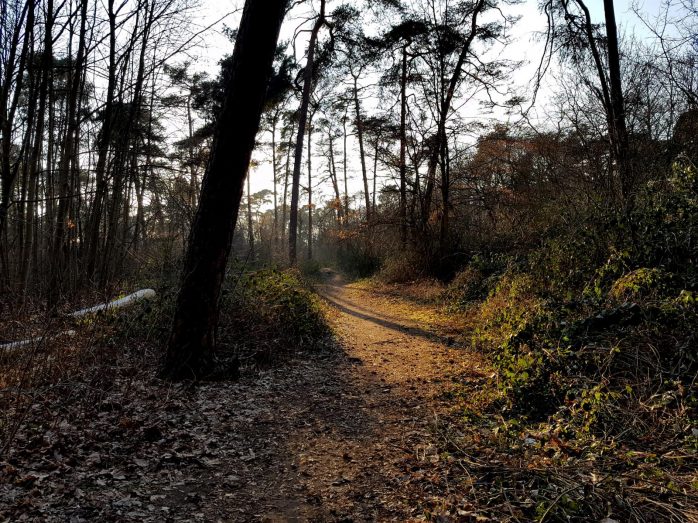 Trailrunning - Trier (8)