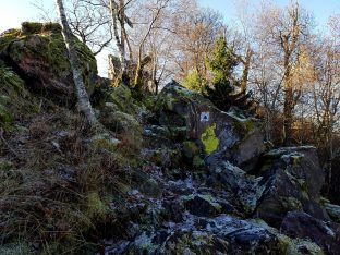 Trailrunning - Trier (9)