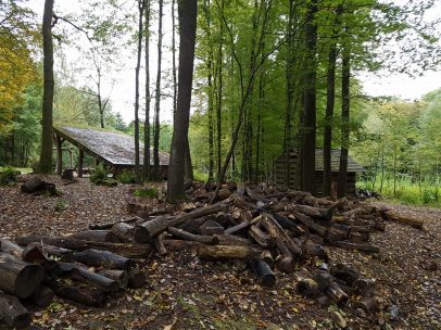 Urwaldlauf (2)