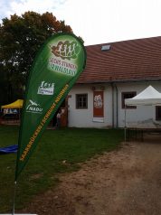 Urwaldlauf (3)