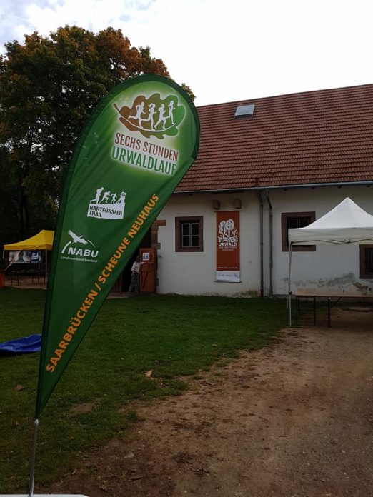 Urwaldlauf (3)