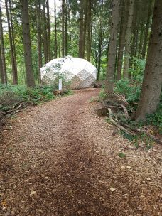 Urwaldlauf (5)