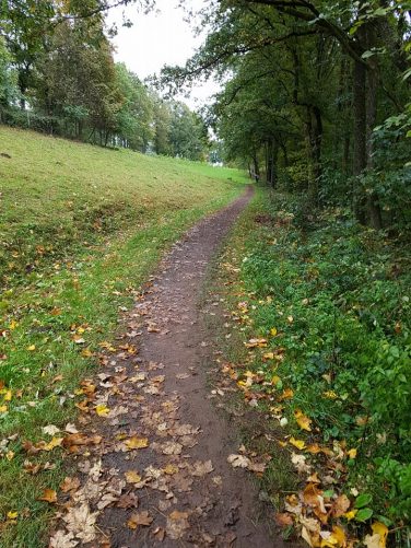 Urwaldlauf (7)