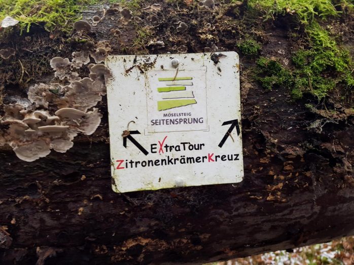 Zitronenkrämerkreuz.41