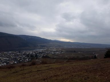 Zitronenkrämerkreuz.58